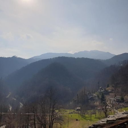 MezzenileCasa Le Rondini公寓 外观 照片